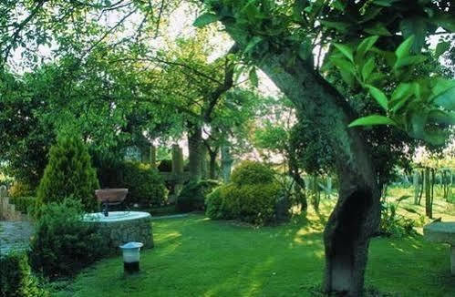 Hotel Pazo Carrasqueira Castrelo  Zewnętrze zdjęcie